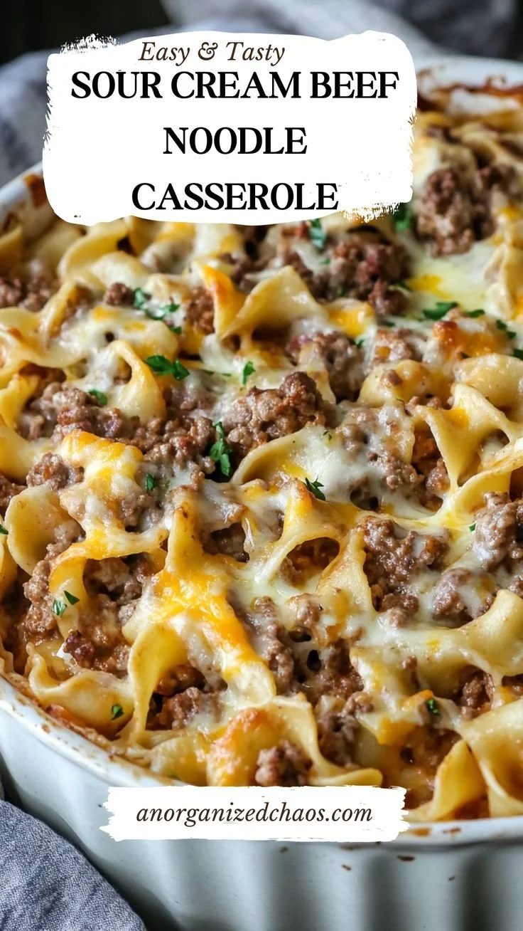 Delicious Sour Cream Beef Noodle Casserole in a baking dish